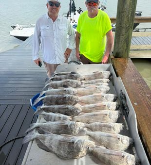 Black drum success in Corpus Christi TX!