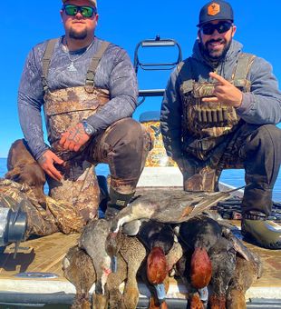 Another successful duck hunt in Corpus Christi waters!
