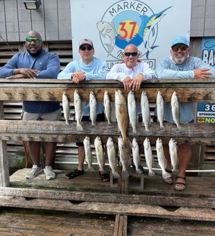 Speckled trout success in Corpus Christi waters!