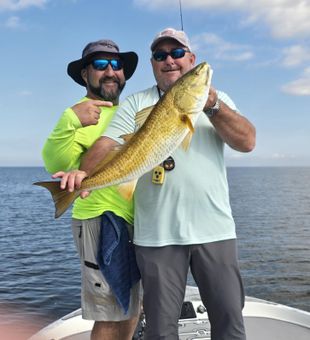Solid redfish catch on inshore fishing trip