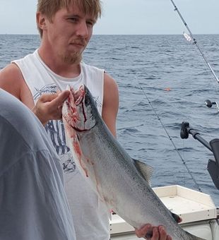 “Salmon strike! Feel the thrill on Lake Michigan today.”