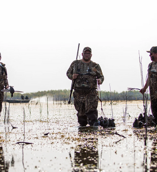 Group Hunts