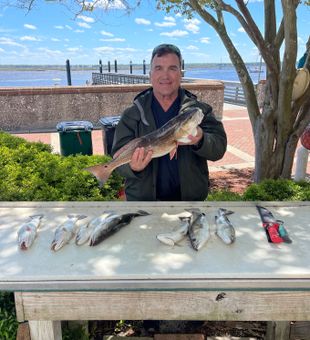 Saint Marys Ga Charter fishing