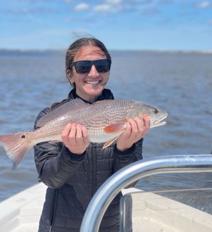 Georgia Redfish!