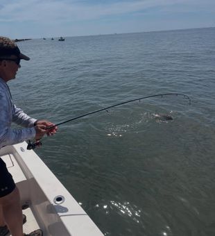 Reel moments in the South.