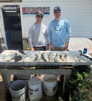 Experience the best Georgia inshore fishing with a guided charter targeting productive coastal waters, perfect for anglers of all skill levels.