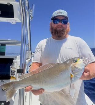 Create lasting memories on the Crystal Coast with a Morehead City charter offering exciting inshore fishing, nearshore action, and scenic eco tours for the whole family.