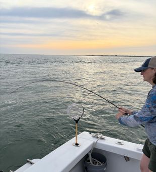 Rod bent deep in Morehead City waters!