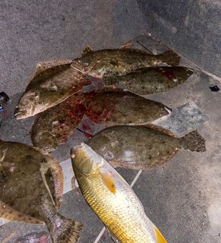 Flounder and Redfish Fishing in Texas
