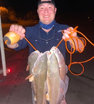 Impressive Nighttime Redfish Haul