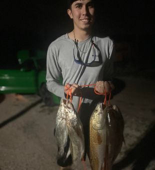 Nighttime Redfish and Speckled Trout Success