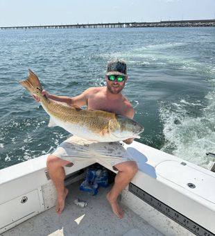 Trophy reds are here! - Chesapeake Bay, VA.