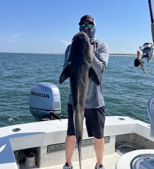 If you want monsters, they're here - Chesapeake Bay, VA.