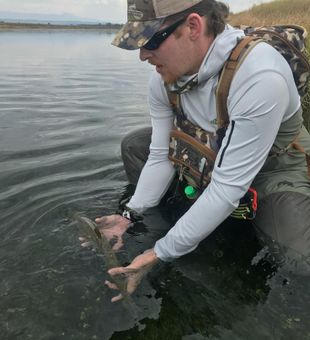 Catch and Release Allowed