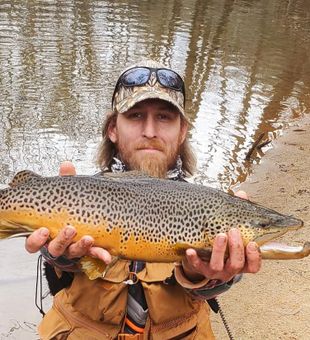 Big Brown Trout we got here