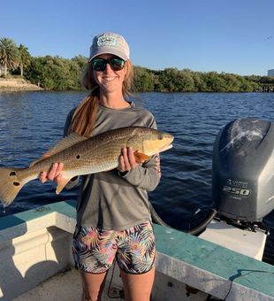 Florida Redfish