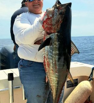 Giant Tuna Caught in Long Island