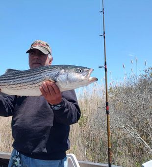 Nice Selden NY striped bass catch!