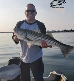 Caught Striped Bass in LONG ISLAND SOUND, CT