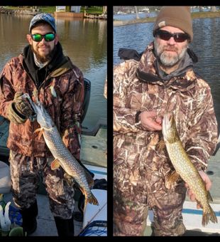 Northern Pike on hand!