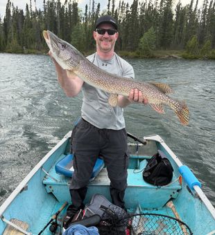 Wild Northern Pike from Gray Wood Outfitters!