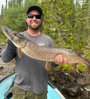 Bold Northern Pike from Gray Wood Outfitters!