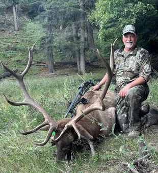 Pursue the elk of New Mexico’s rugged wilderness around Mayhill, where every hunt brings a new opportunity.