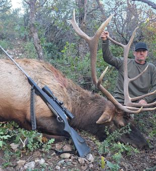 Another successful elk hunt in Mayhill New Mexico!