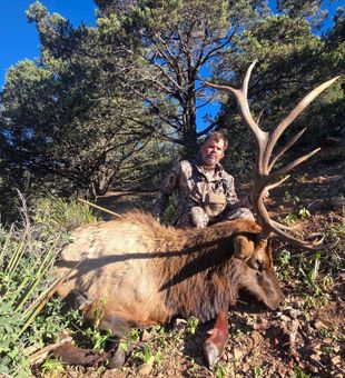 Great Buck Down - Cloudcroft, NM.