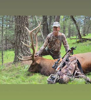 Another successful elk hunt in the books!