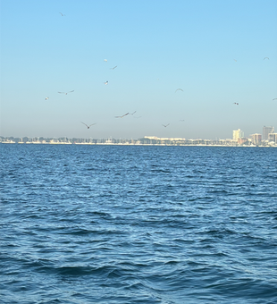 Perfect fishing conditions with partly cloudy skies and calm blue waters.