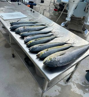 Epic offshore action from Key Biscayne harbor.