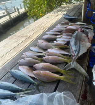 Fishing adventures start at Crandon Park Marina.