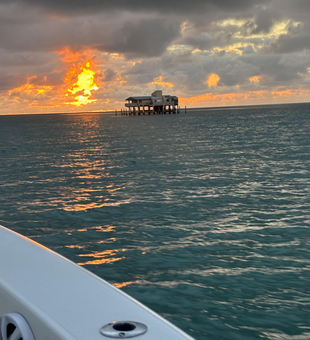Perfect fishing evening in Key Biscayne waters!
