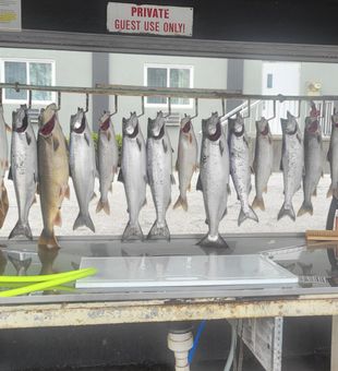 Manistee fishing adventures await
