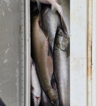 Limited out by 820am. Gotta love this time of the year.