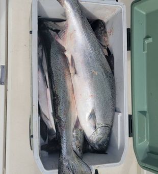 Hooked in Manistee’s calm waters