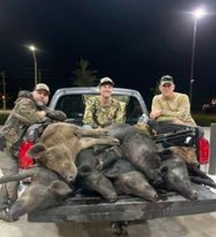 Harvesting Feral Pork At Okeechobee, FL