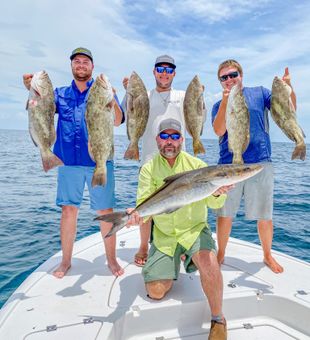 Grouper Fish Caught In Florida Waters