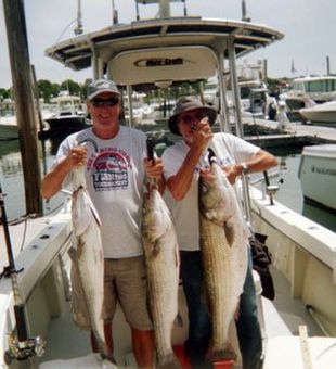 Cape Cod Fishing Charters