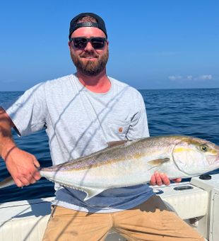 Nice Amberjack!