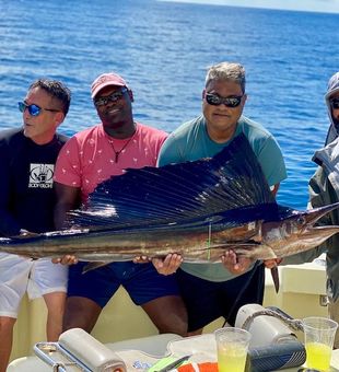 Sailfish Majesty: Ocean's Finest