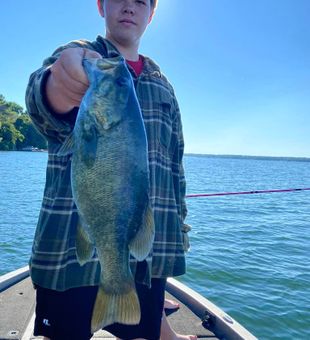 Fox Lake Fish: Angler's Paradise