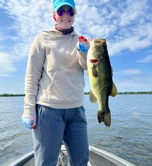 Bountiful Fox Lake  Fish