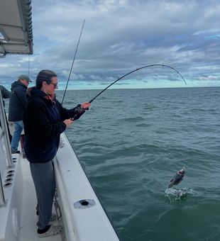 Cape Cod casts and coastal calm