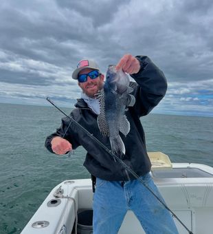 Big bites off the Cape Cod coast