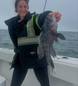 Rods, reels, and Cape Cod charm
