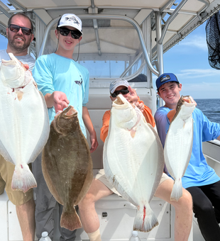 Massive Southern Flounder and California Flounder haul from Nantucket Sound!