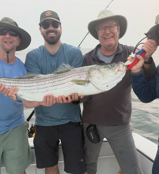 From inshore action to offshore excitement, Cape Cod fishing offers something for every angler.