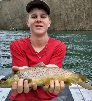 Brown Trout on Little Red River